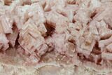 Pink Halite Crystal Plate - Trona, California #133603-2